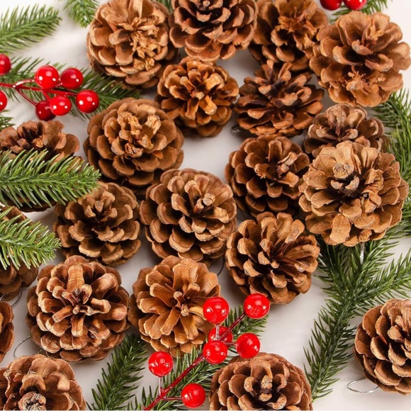 ❗5 For $2️⃣5️⃣ Bundle Sale❗️ Natural Source Pine Cones ~ Bag of 12 for Crafting - Picture 9 of 9